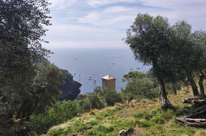 Best Tours & Experiences in Camogli Italy 17 Camogli to San Fruttuoso Deep Nature Trek and Stunning Sea Views - Camogli Italy