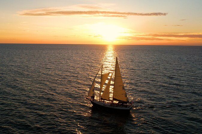 Best Tours & Experiences in Clearwater Beach Florida 22 caption 142