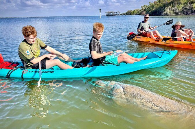 Dolphin and Manatee Kayak Tour of Daytona Beach - Daytona Beach Florida