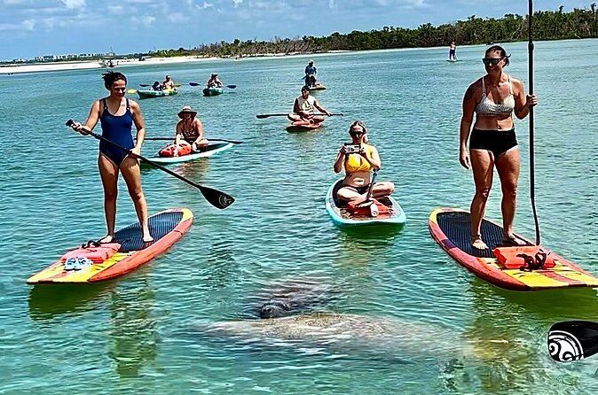 Hour Dolphin and Manatee Paddleboard Tour in Daytona Beach - Daytona Beach Florida