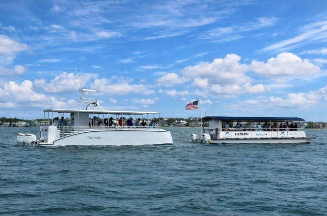 ペンサコーラのおすすめツアー&体験 20 Hour Dolphin Cruise Scenic Bay Tour - Pensacola Florida