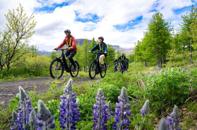 Best Tours & Experiences in Isafjordur Iceland 23 caption 21