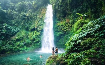 Best Tours & Experiences in Ubud