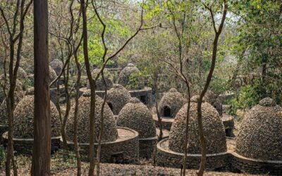 Best Tours & Experiences in Rishikesh