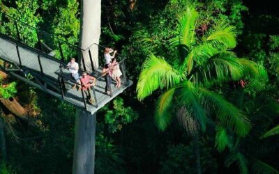 Best Tours & Experiences in Gold Coast