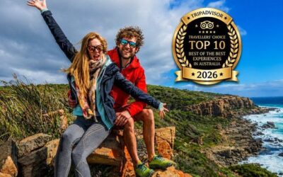 Best Tours & Experiences in Margaret River