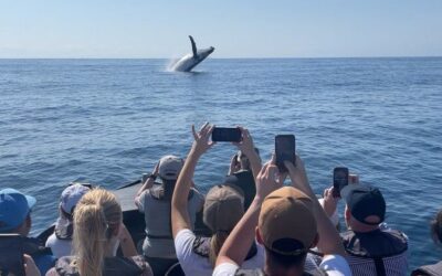 Best Tours & Experiences in Noosa