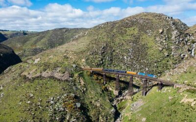 Best Tours & Experiences in Dunedin