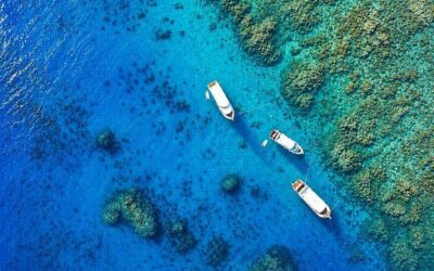 Best Tours & Experiences in Hurghada