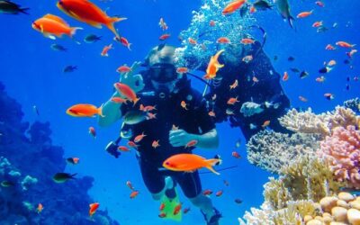 Best Tours & Experiences in Sharm El Sheikh
