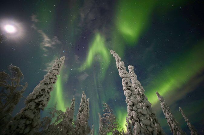 Best Tours & Experiences in Inari Finland 35 caption 24