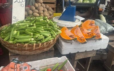 Best Tours & Experiences in Georgetown, Guyana
