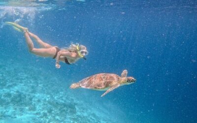 Best Tours & Experiences in Gili Trawangan