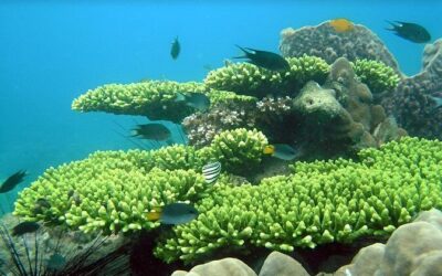 Best Tours & Experiences in Phu Quoc