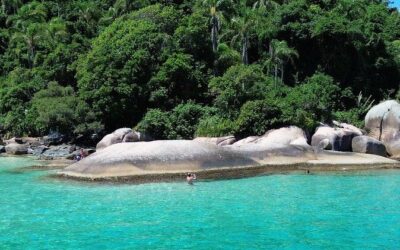 Best Tours & Experiences in Florianopolis