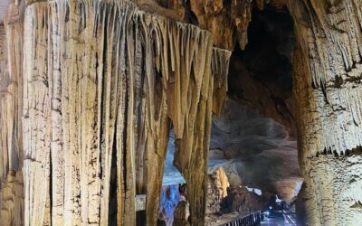 Best Tours & Experiences in Phong Nha