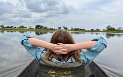 Best Tours & Experiences in Okavango Delta