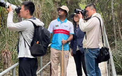 Best Tours & Experiences in Sundarbans