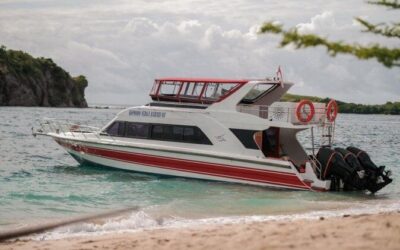 Best Tours & Experiences in Komodo National Park, Indonesia