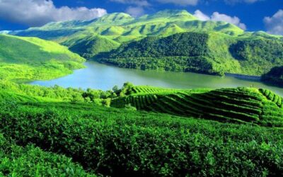 Best Tours & Experiences in Guiyang, China