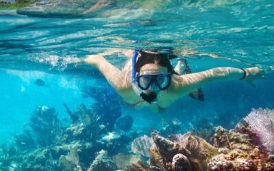 Best Tours & Experiences in San Cristobal, Galapagos