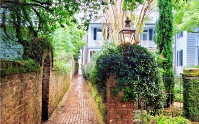 Best Tours & Experiences in Charleston, South Carolina