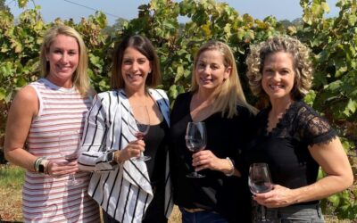 Best Tours & Experiences in Napa Valley, California