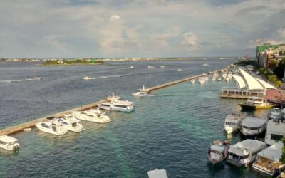 Best Tours & Experiences in Male, Maldives