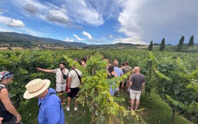 Private vs Small Group Tours in Florence: Which Should You Book? (2026)