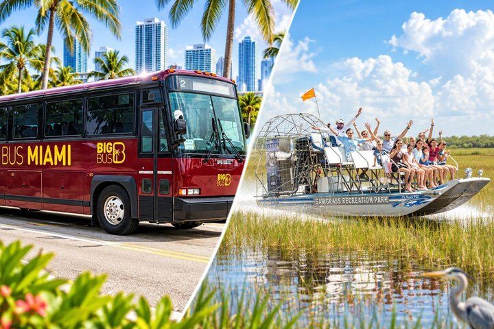 Miami City Pass: Go City Explorer vs All-Inclusive vs Individual Tickets — Worth It? (2026) 18 Everglades Airboat, Wildlife Exhibit, & Roundtrip Bus from Miami