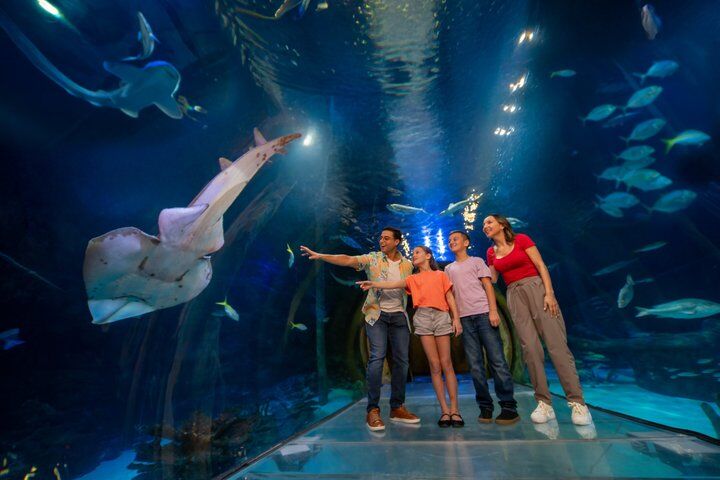Orlando City Pass: Go City All-Inclusive vs Explorer vs Park Tickets — Worth It? (2026) 16 SEA LIFE Orlando Aquarium Admission Ticket at ICON Park