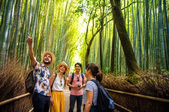 Kyoto City Pass: Is There One? Bus & Subway Pass, Temple Prices & What to Buy (2026) 16 Kyoto Arashiyama Walking Tour: Bamboo, Monkeys, Garden & Secrets