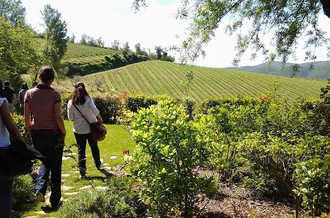 Best Tours & Experiences in Radda in Chianti Italy 24 caption 46