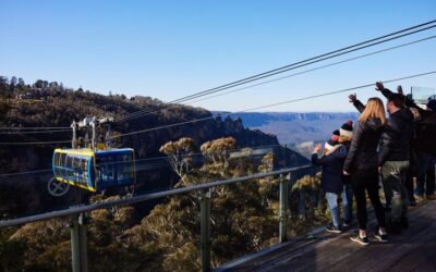 Private vs Small Group Tours in Sydney: Which Should You Book? (2026)