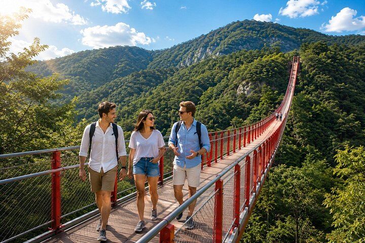 Best DMZ Tour Seoul: Defector Q&A, 3rd Tunnel & Suspension in Seoul