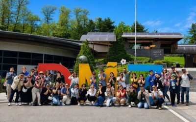 DMZ Tour: Defector Q&A, Tunnel & Suspension Bridge /Hotel (2026 Review & Booking Guide)