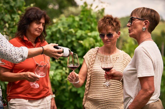 Best Tours & Experiences in Greve in Chianti Italy 43 caption 49