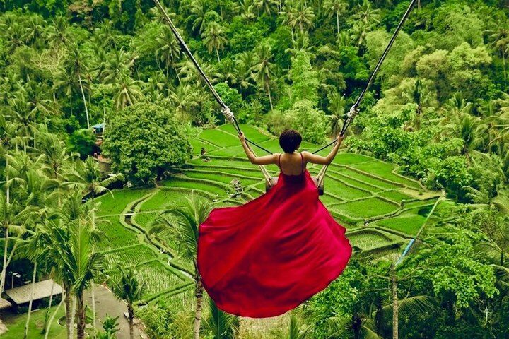 Ubud: Monkey Forest, Jungle Swing, Rice Terrace and Water (2026 Review & Booking Guide) 1 Ubud: Monkey Forest, Jungle Swing, Rice Terrace and Water in Ubud