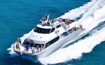 Ocean Freedom: Great Barrier Reef Stylish Snorkel, Dive Reef (2026 Review & Booking Guide)