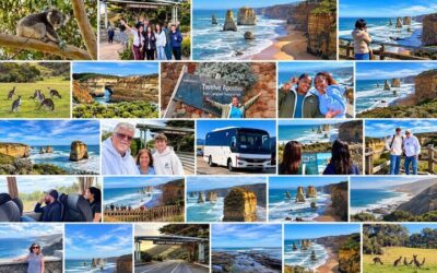 Great Ocean Road Reverse SUNRISE TOUR–SML GRP-DLX BUS Hotel (2026 Review & Booking Guide)