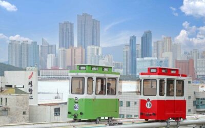 Busan Highlights: Small Group, Hotel Pick-up & Sky Capsule (2026 Review & Booking Guide)