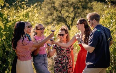 Half-Day Chianti Wine Tasting from Florence with Two Wineries (2026 Review & Booking Guide)