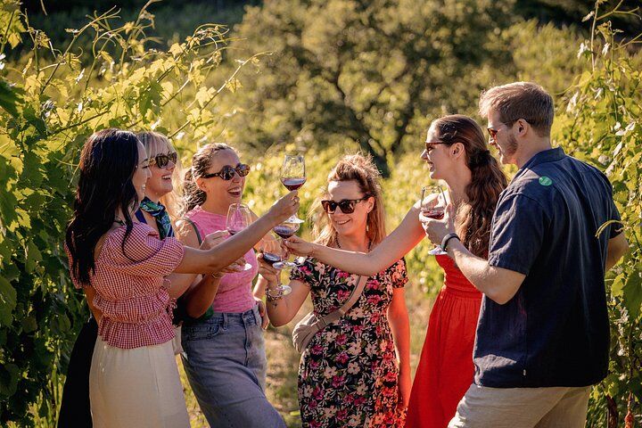 Half-Day Chianti Wine Tasting from Florence with Two Wineries in Florence