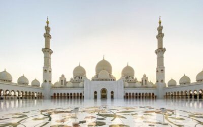 Abu Dhabi Premium Guided City Tour with Lunch Included (2026 Review & Booking Guide)