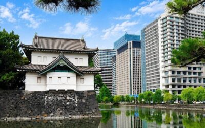 Tokyo: Imperial Palace and Shogun Historical Walking Tour (2026 Review & Booking Guide)