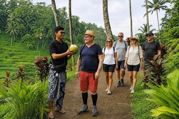 Bali Private Car & Minibus Hire with Local Host (2026 Review & Booking Guide) 1 Bali Private Car & Minibus Hire with Local Host in Ubud