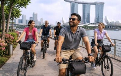 Singapore Highlights Small Group Bike Tour on Full-Sized (2026 Review & Booking Guide)