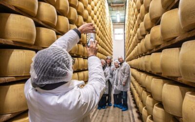 Bologna Food Experience: Factory tours & Lunch By Italian Days (2026 Review & Booking Guide)