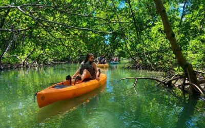 Marco Island and Naples Pedal or Paddle Kayak Tour (2026 Review & Booking Guide)