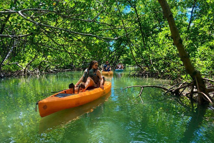 Marco Island and Naples Pedal or Paddle Kayak Tour (2026 Review & Booking Guide) 1 Marco Island and Naples Pedal or Paddle Kayak Tour in Naples